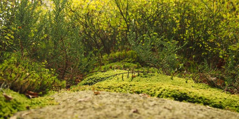 合肥专业视频剪辑电脑配置指南:4K/8K工作流本地硬件采购与网络解决方案