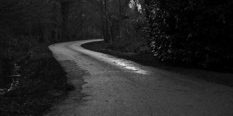 合肥企业批量采购办公电脑：如何选择能提供网络解决方案与IT服务的供应商？