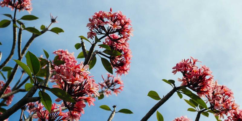 合肥电竞玩家专属:高刷显示器与机械键盘本地体验店深度探秘