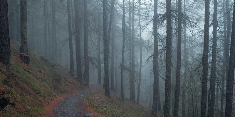 合肥电竞玩家必看：从定制新PC到系统维护的终极性能优化指南