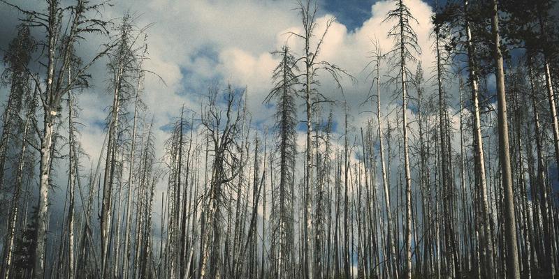 合肥音乐人必看：打造专业录音与音乐制作电脑的低延迟本地化配置方案